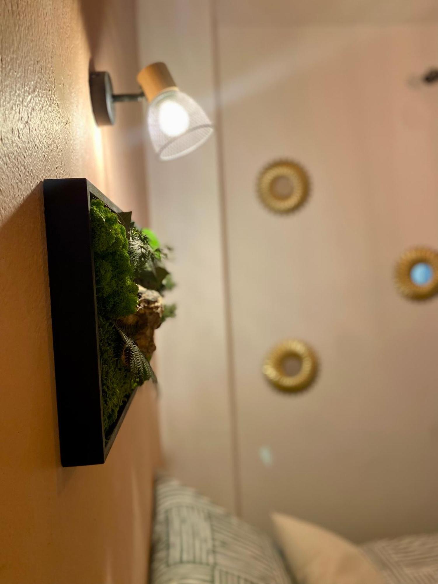 Magnifique Appartement Avignon Intra-Muros エクステリア 写真